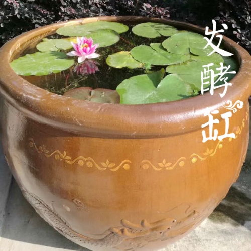 龍紋水缸